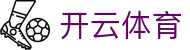 开云体育·kaiyun.com